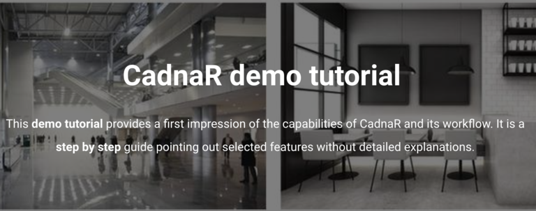 Screenshot from the CadnaR Demo Tutorial